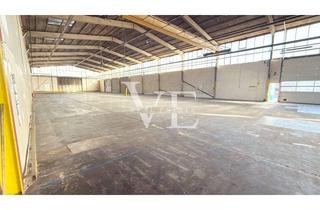 Gewerbeimmobilie mieten in 73655 Plüderhausen, INDUSTRIEHALLE - GEEIGNET FÜR PADEL
