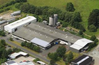 Gewerbeimmobilie mieten in Heisterberger Weg, 35767 Breitscheid, Produktionshalle in Breitscheid-Gusternhain