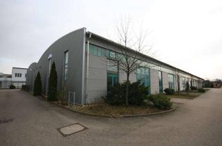 Büro zu mieten in 76437 Rastatt, Moderne Gewerbehalle mit großzügigen Produktions-, Lager- und Büroflächen