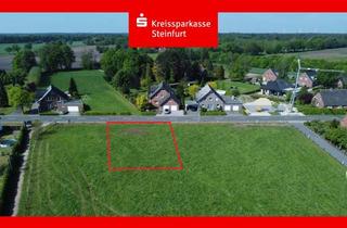Grundstück zu kaufen in 49536 Lienen, Grundstück in Kattenvenne (nähe Zentrum und Bahnhof)
