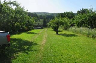 Grundstück zu kaufen in Neue Welt, 74189 Weinsberg, Idyllisches und großzügiges Freizeitgrundstück