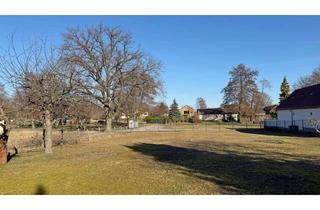 Grundstück zu kaufen in 03130 Felixsee, Schönes Filetstück im Dorfkern