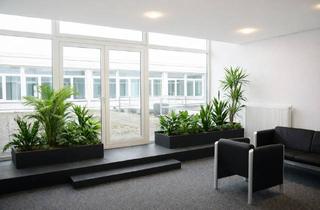 Büro zu mieten in Gehrnstraße 7-11, 76275 Ettlingen, Ruhige Büroräume individuell gestaltbar in Ettlingen