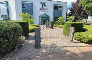 Gewerbeimmobilie kaufen in 46395 Bocholt, Repräsentative und vielseitig nutzbare Gewerbefläche in Top-Zustand
