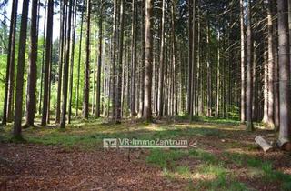 Immobilie kaufen in 86928 Hofstetten, attraktive Waldfläche