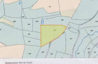 Gewerbeimmobilie kaufen in 95233 Helmbrechts, Waldgrundstücke in Helmbrechts / OT Enchenreuth