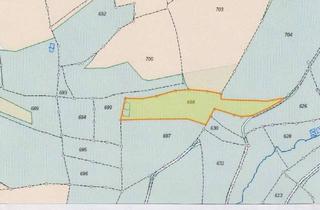 Gewerbeimmobilie kaufen in 95233 Helmbrechts, Waldgrundstück in Helmbrechts / OT Enchenreuth