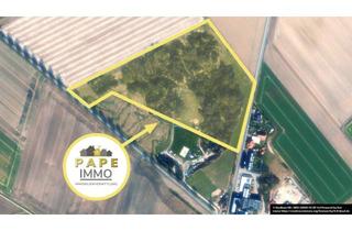 Gewerbeimmobilie kaufen in 38272 Burgdorf, 54.000qm Wald-Grundstück in Burgdorf – Seltene Gelegenheit für Investoren und Projektentwickler ! !