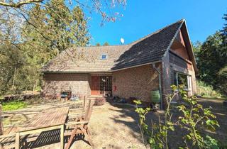 Einfamilienhaus kaufen in 21644 Sauensiek, Schick mit Knick!Großes Einfamilienhaus mit Vollkeller auf fast 2000 m² im Grünen
