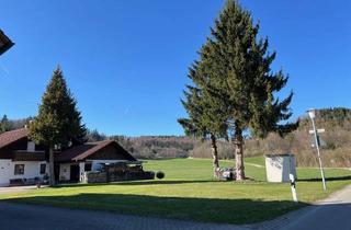 Grundstück zu kaufen in 88317 Aichstetten, Logenplatz zur Natur
