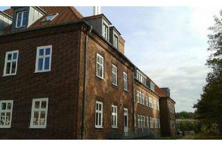 Gewerbeimmobilie mieten in Rudenstr. 22/22a, 18439 Dänholm, Großes Gewerbe/Lager auf dem Dänholm zu vermieten!