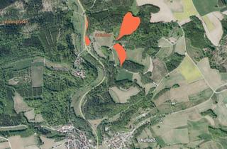Immobilie kaufen in 91347 Aufseß, Waldflächen im Paket bei Aufseß - 4,4 ha Waldaufforstungsflächen zwischen Aufseß und Neuhaus