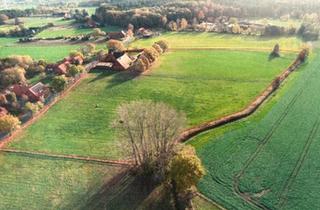 Bauernhaus kaufen in 32469 Petershagen, Petershagen - BauernhofPferdehofRefugium in der Natur Renditeobjekt