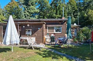 Haus kaufen in 06869 Coswig, Coswig (Anhalt) - Wochenendhaus in direkter Seelage im Fläming zu verkaufen
