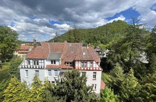 Wohnung kaufen in Papenbergstraße, 38667 Bad Harzburg, Traumhafte Aussichten - großzügige Wohnung - Stellplatz