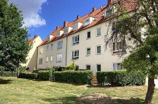 Wohnung mieten in Grünewaldstr. 12, 23564 St. Jürgen, Hier macht wohnen Spaß: sanierte 2,5-Zimmer-Erdgeschoss- Wohnung mit Terrasse und sofort anmietbar!