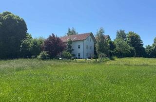 Haus kaufen in 86946 Vilgertshofen, Traumhaus zwischen Lech und Ammersee mit Einliegerwohnung