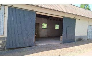 Gewerbeimmobilie mieten in 54570 Schutz, Halle mit 130 qm und großem Tor