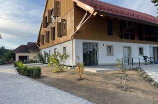 Wohnung mieten in Büchel, 88212 Ravensburg, Ruhige schöne 1,5 Zimmer-Wohnung mit zwei Terrassen / Wiesesburg