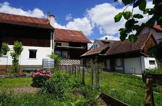 Bauernhaus kaufen in 79541 Lörrach, Bauernhaus mit Herz u. Potential. Paradies für Familien in Hauingen