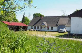 Bauernhaus kaufen in Ellunder Straße, 24983 Handewitt, Bauernhof mit Laufstall (Pferde) in idyllischer Lage an der Meynau