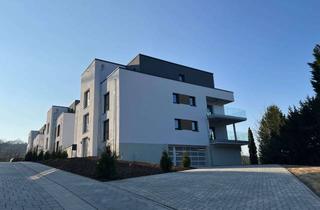 Wohnung mieten in Am Kurpark, 56154 Boppard, Hochwertige 3,5 Zi Wohnung, offene Küche inkl. hochwertiger Einbauküche, Gäste WC, Balkon