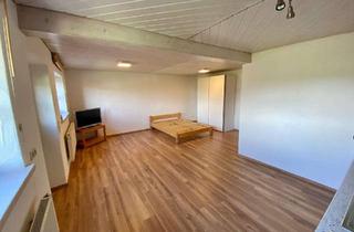 Wohnung mieten in Hofs, 88260 Argenbühl, Möblierte 1-Zimmer-Wohnung - 2021 saniert - mit Bergblick