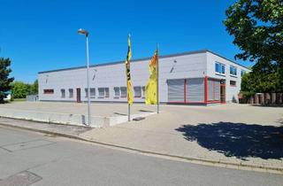Gewerbeimmobilie mieten in Am Wickerstedter Weg, 99510 Niederroßla, HALLE IN 99510 NIEDERROSSLA bei APOLDA an der B87 ZU VERMIETEN