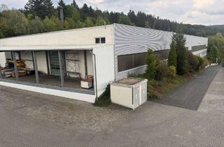 Gewerbeimmobilie mieten in Hauptstraße 2A, 35792 Löhnberg, Effizient nutzbar: Industriehalle mit Freifläche in Löhnberg