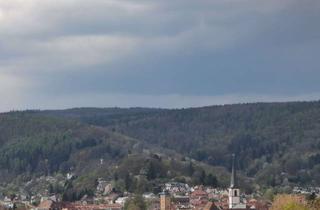 Wohnung mieten in 97816 Lohr, Lohr Sendelbach :-) attraktive 4-Zi.-Dachgeschosswohnung mit EBK, Garage, Dachterrasse