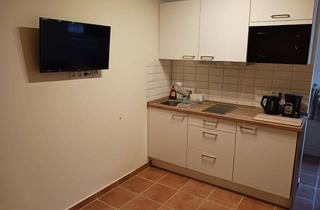Wohnung mieten in 64546 Mörfelden-Walldorf, Möbiliertes 1-Zimmer Apartment