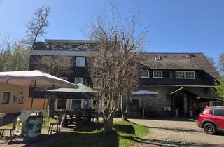 Penthouse mieten in Schrappmühle, 31855 Aerzen, Idyllische 2-Zimmer-Penthouse-Wohnung im Grünen zwischen Posteholz und Grupenhagen