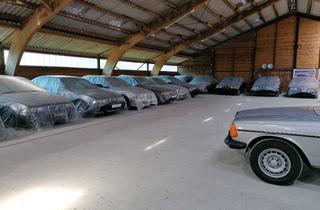 Lager mieten in 25337 Kölln-Reisiek, Hallen Stellplatz Kölln-Reisiek für Autosammlung°Oldtimer°Wohnmobile°Wohnwagen