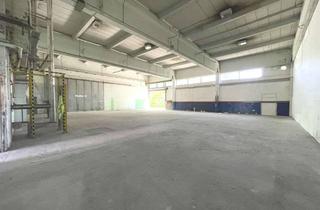 Lager mieten in Blomberger Weg, 13437 Wittenau, *Gewerbefläche zentral in Reinickendorf*Halle / Lager / Produktionsstätte zu vermieten***