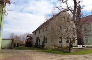 Haus kaufen in 04886 Beilrode, Beilrode - großes Haus zu verkaufen, Mietkauf möglich