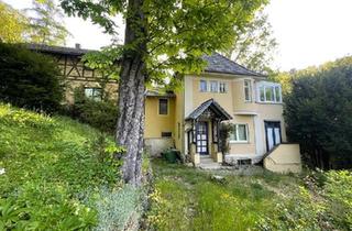 Villa kaufen in 07743 Jena, Jena - Villa in Jena-West: Einfamilienhaus mit Anbau