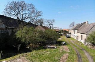 Bauernhaus kaufen in 04924 Bad Liebenwerda, Bad Liebenwerda - Renovierungsbedürftiger Bauernhof