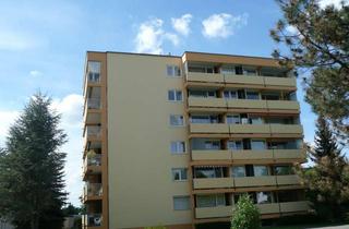 Wohnung kaufen in 90480 Nürnberg, Modernisierte 2-Zimmer Wohnung in Nürnberg -Mögeldorf mit Erbbaurecht!