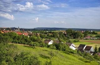 Wohnung mieten in Klingenstraße XX, 74252 Massenbachhausen, Gepflegte 2,5-Zimmer-DG-Wohnung mit Einbauküche und Klimaanlage