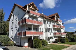 Wohnung mieten in Zur Hölle 24, 55452 Rümmelsheim, 1 1/2- Zimmer-Wohnung mit eingewachsener überdachter Terrasse in Rümmelsheim
