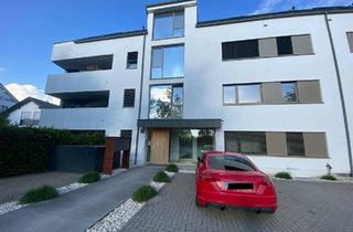 Wohnung mieten in Platanenallee 30, 64673 Zwingenberg, Moderne 2 Zimmer-Wohnung in Zwingenberg