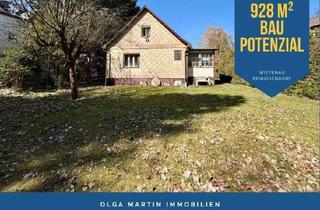 Einfamilienhaus kaufen in 13403 Wittenau, Bezugsfrei! Großes Grundstück 928 m² | Einfamilienhaus mit Potenzial in ruhiger Lage