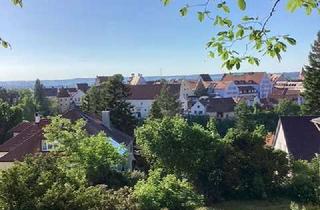 Haus kaufen in 84130 Dingolfing, Sonniges Grundstück mit Altbestand in bevorzugter Lage in Dingolfing