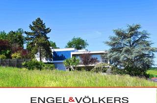 Haus kaufen in 55546 Frei-Laubersheim, Attraktives Split-Level-Haus in Top-Lage – Gute Substanz und vielfältige Möglichkeiten