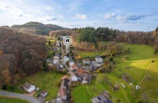 Einfamilienhaus kaufen in 69253 Heiligkreuzsteinach, Charmantes Einfamilienhaus mit Einliegerwohnung- naturnahes Wohnen in ruhiger Hanglage