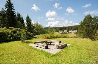 Haus kaufen in 79871 Eisenbach, Ferienimmobilie mit Ausbaupotenzial – Schwarzwaldhaus auf 4.581 m² Grundstück