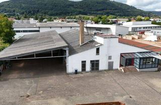 Gewerbeimmobilie kaufen in 63897 Miltenberg, DIETZ: Gewerbeimmobilie mit 1888qm Lager- und Produktionsflächen auf 3540qm Grundstück!