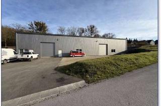 Gewerbeimmobilie kaufen in 37574 Kreiensen, Moderne Halle für Produktion, Lager, Werkstatt in Einbeck - Kreiensen
