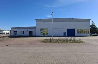 Gewerbeimmobilie mieten in Gerikestraße 97, 39340 Haldensleben, Lagerhalle (ebenerdig) alter Lidl-Markt