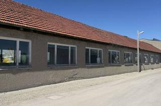 Gewerbeimmobilie mieten in Grünzweigstraße, 86438 Kissing, Vielseitige Gewerbehalle mit ca. 270 m² im Gewerbegebiet Kissing